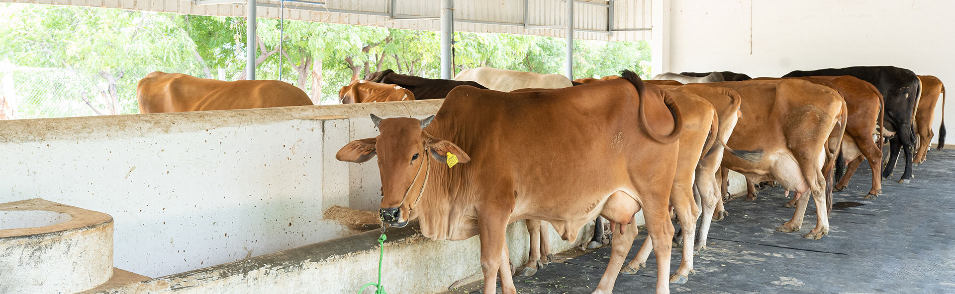 CSR Banner image - KKP Image