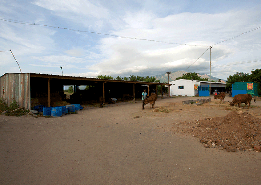 gallery - image